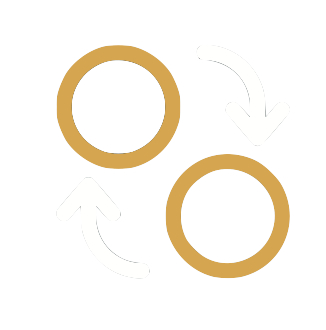 High Transfection Efficiency Icon